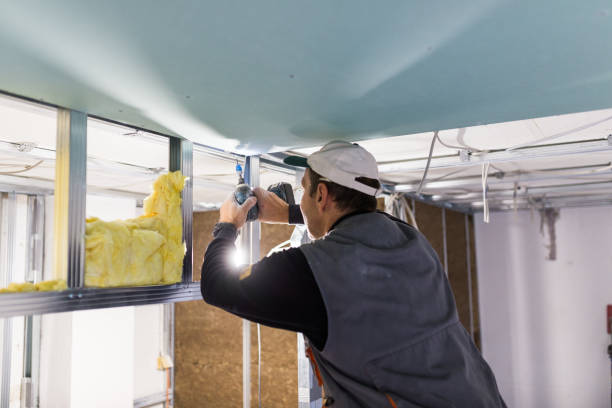 Professional Insulation Contractor in TX